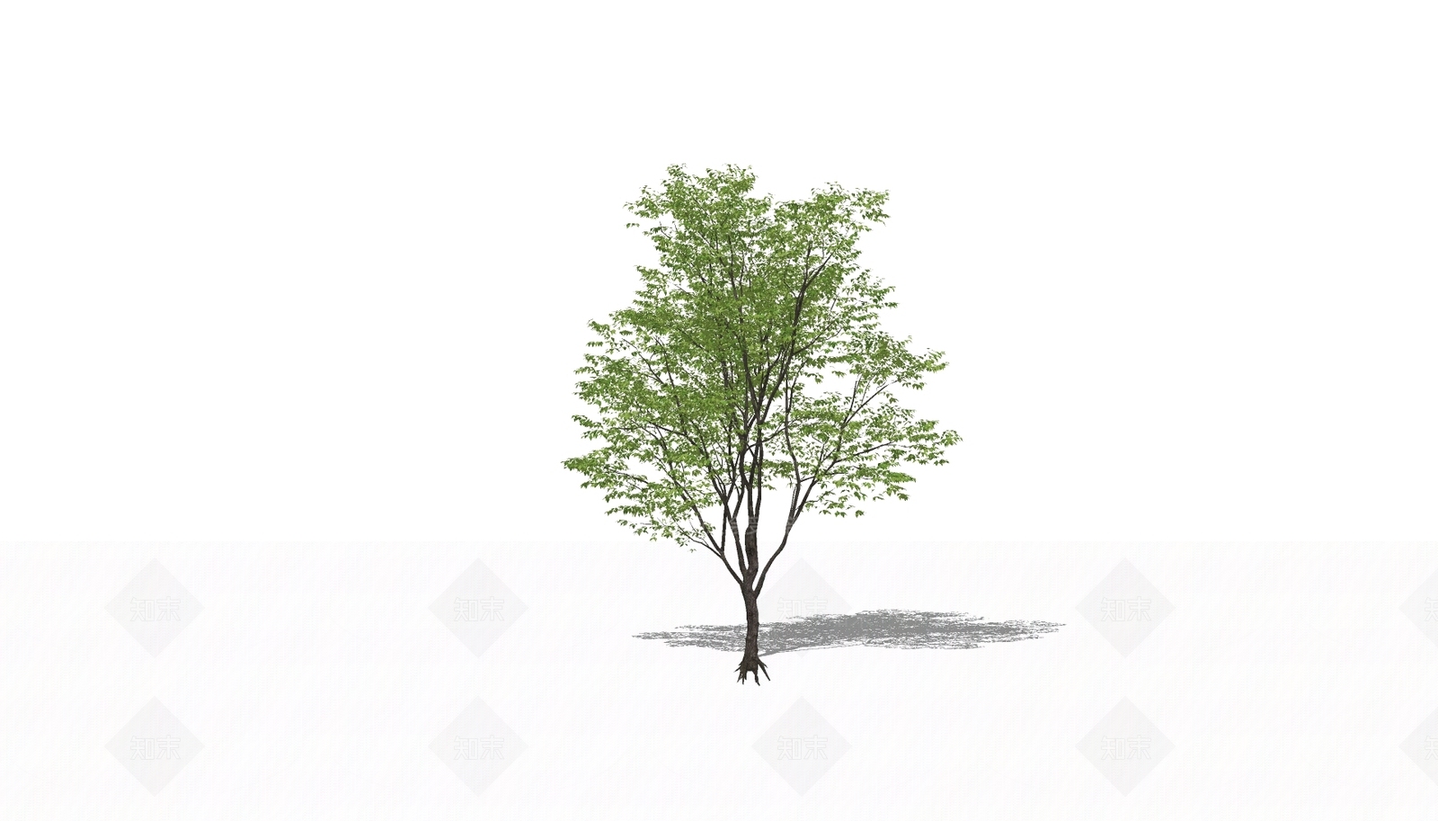 乔木SU模型下载【ID:1132030628】