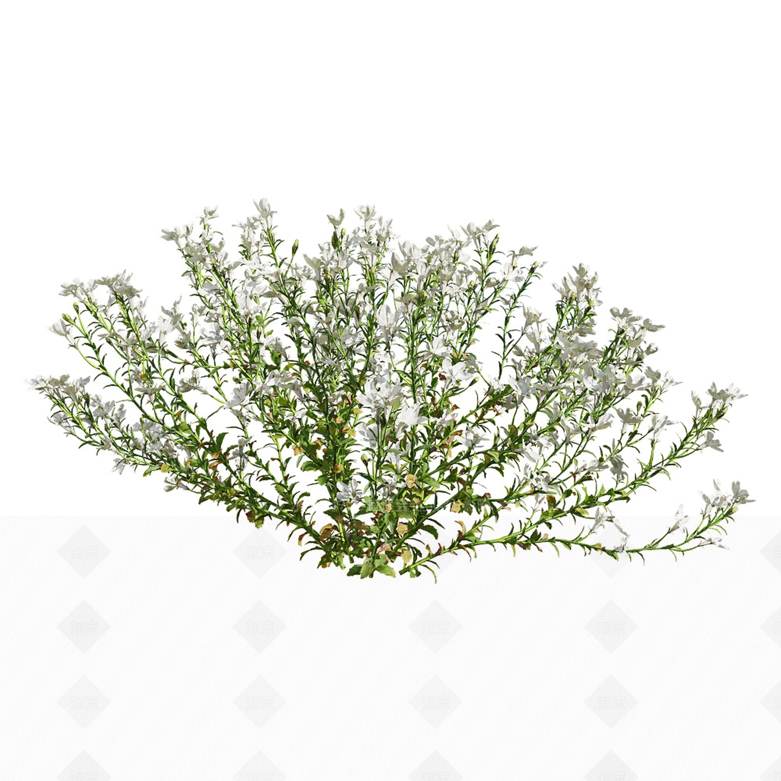 草3D模型下载【ID:1132102280】