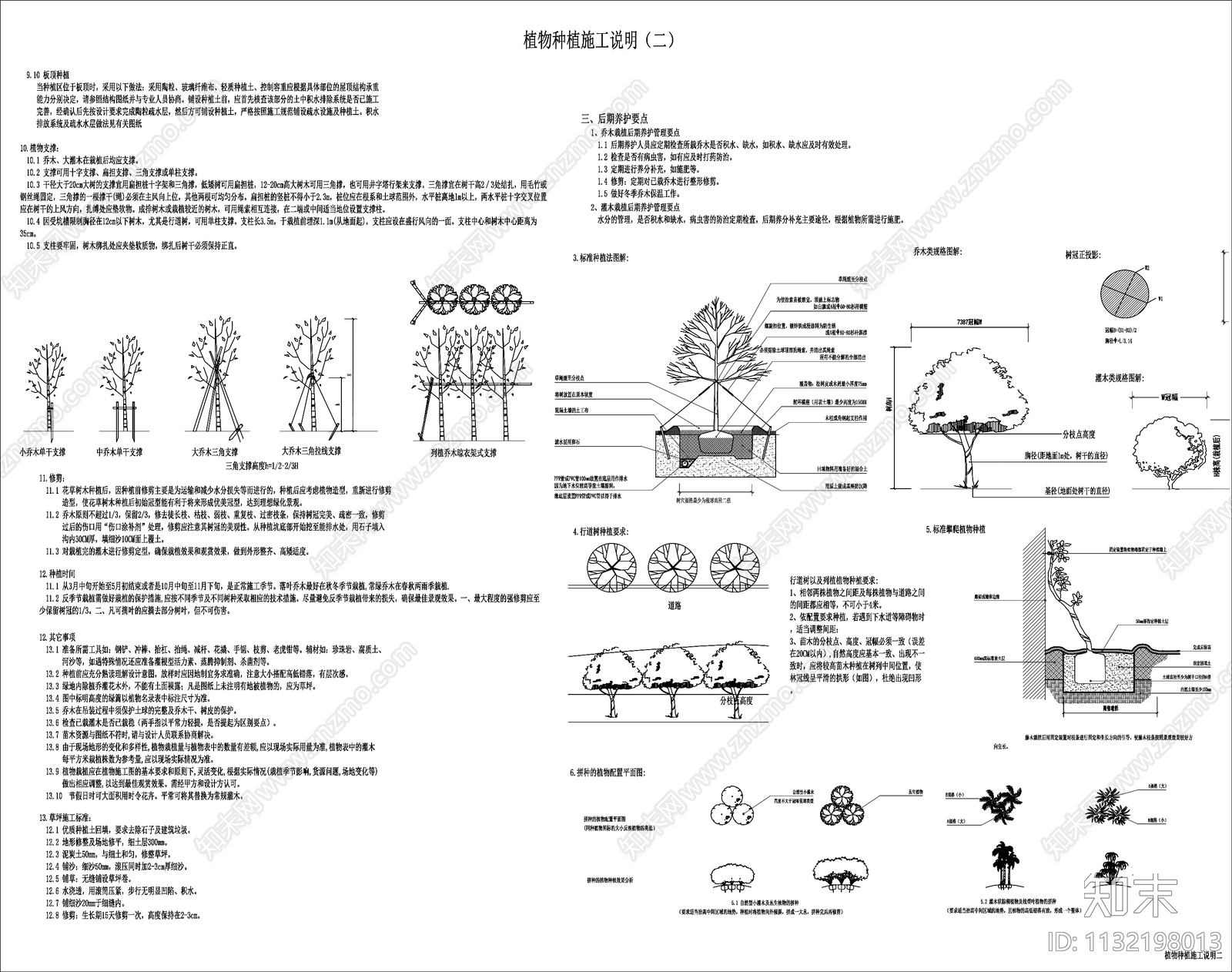植物种植施工说明施工图下载【ID:1132198013】