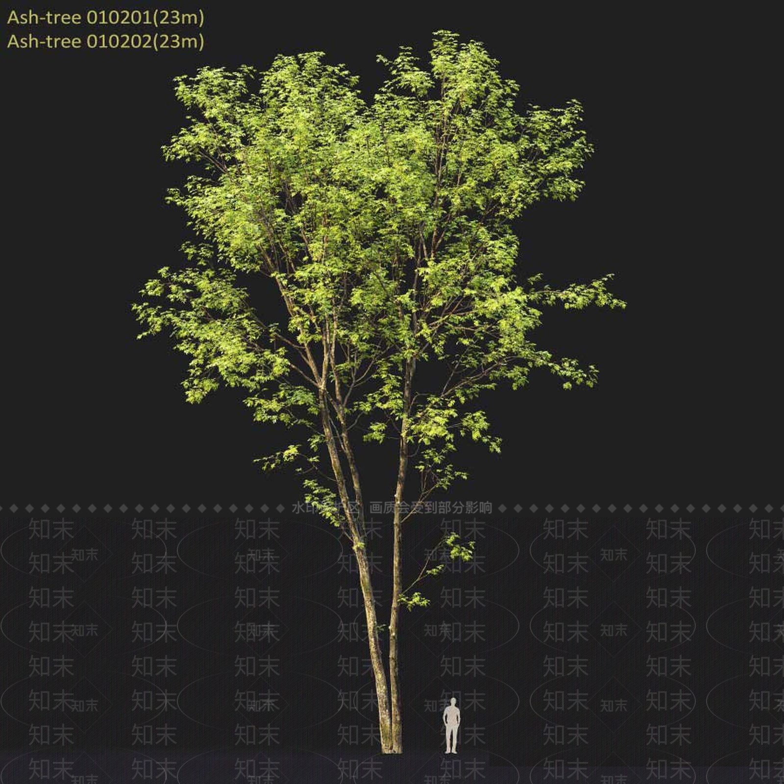 乔木3D模型下载【ID:1132310587】