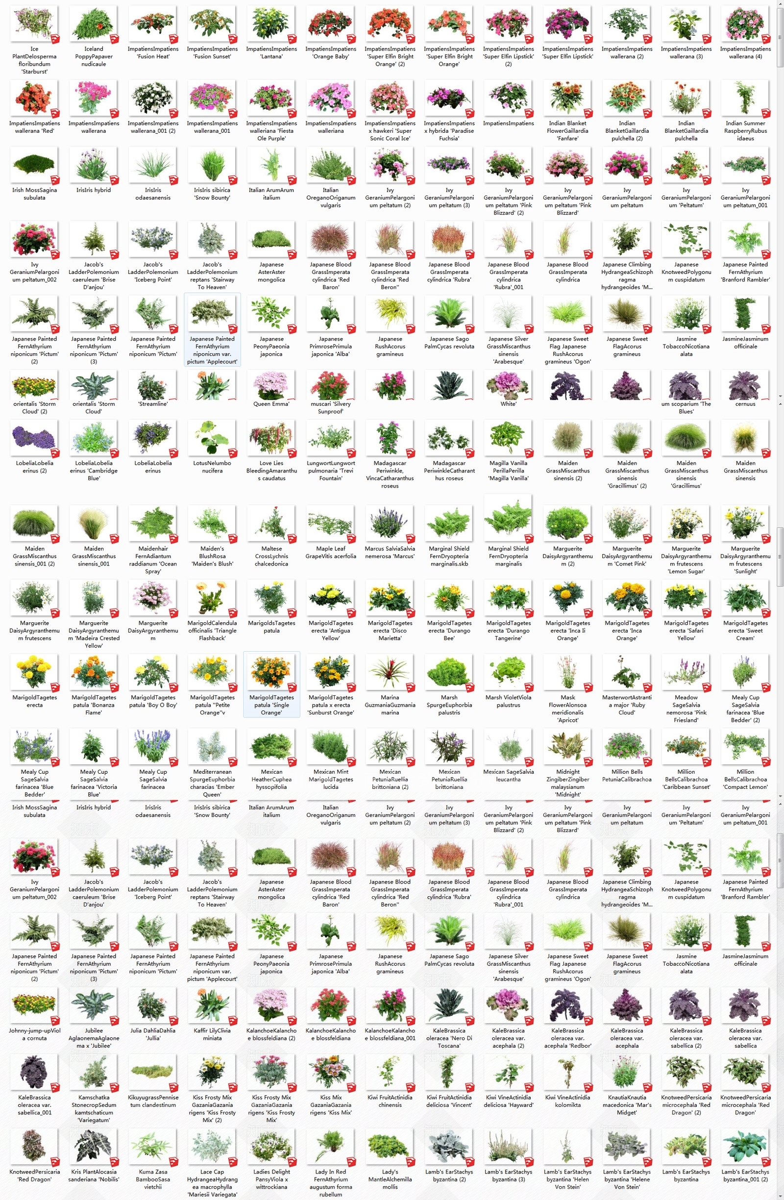 500种龙湖真实花灌木SU模型下载【ID:1132256791】