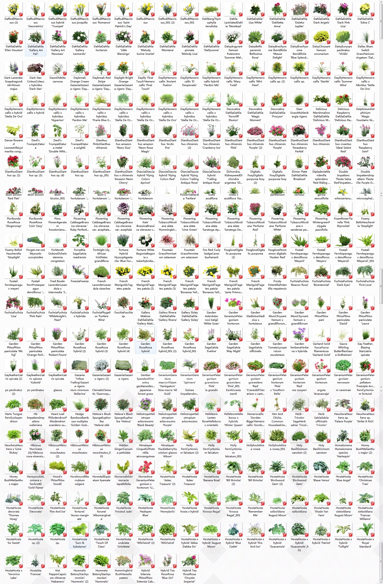 500种龙湖真实花灌木SU模型下载【ID:1132257318】