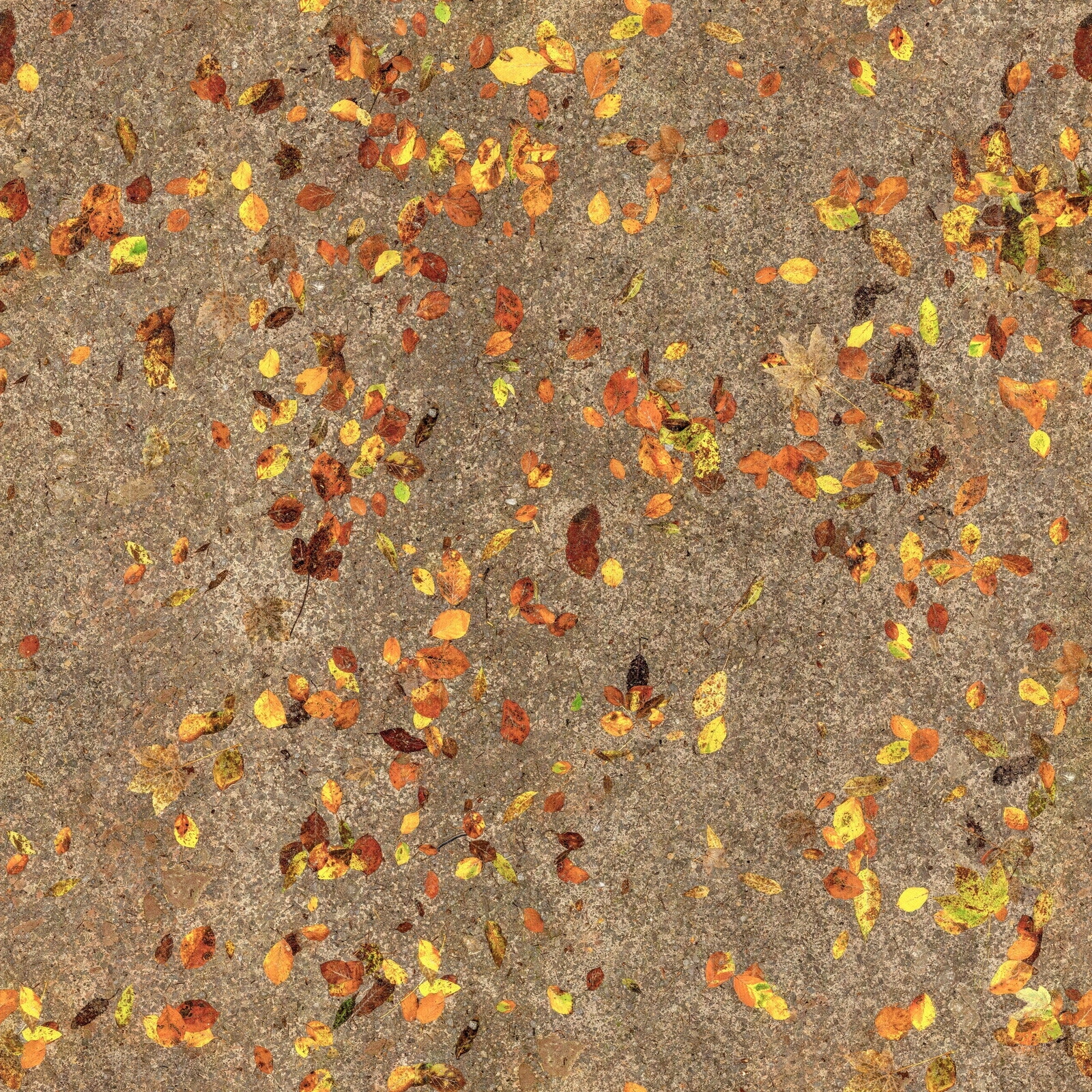 落叶地面贴图下载【ID:1132276958】