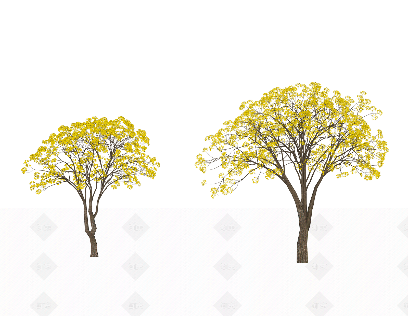 黄花风铃木乔木SU模型下载【ID:1132478226】