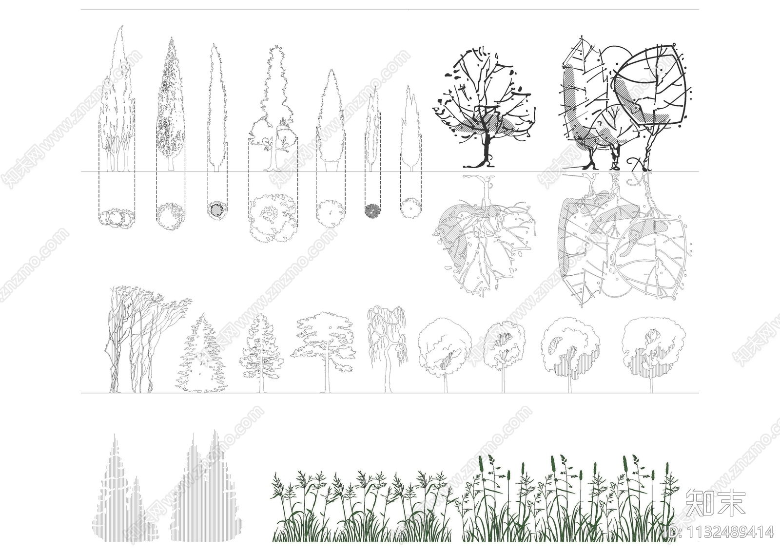 CAD立面植物施工图下载【ID:1132489414】