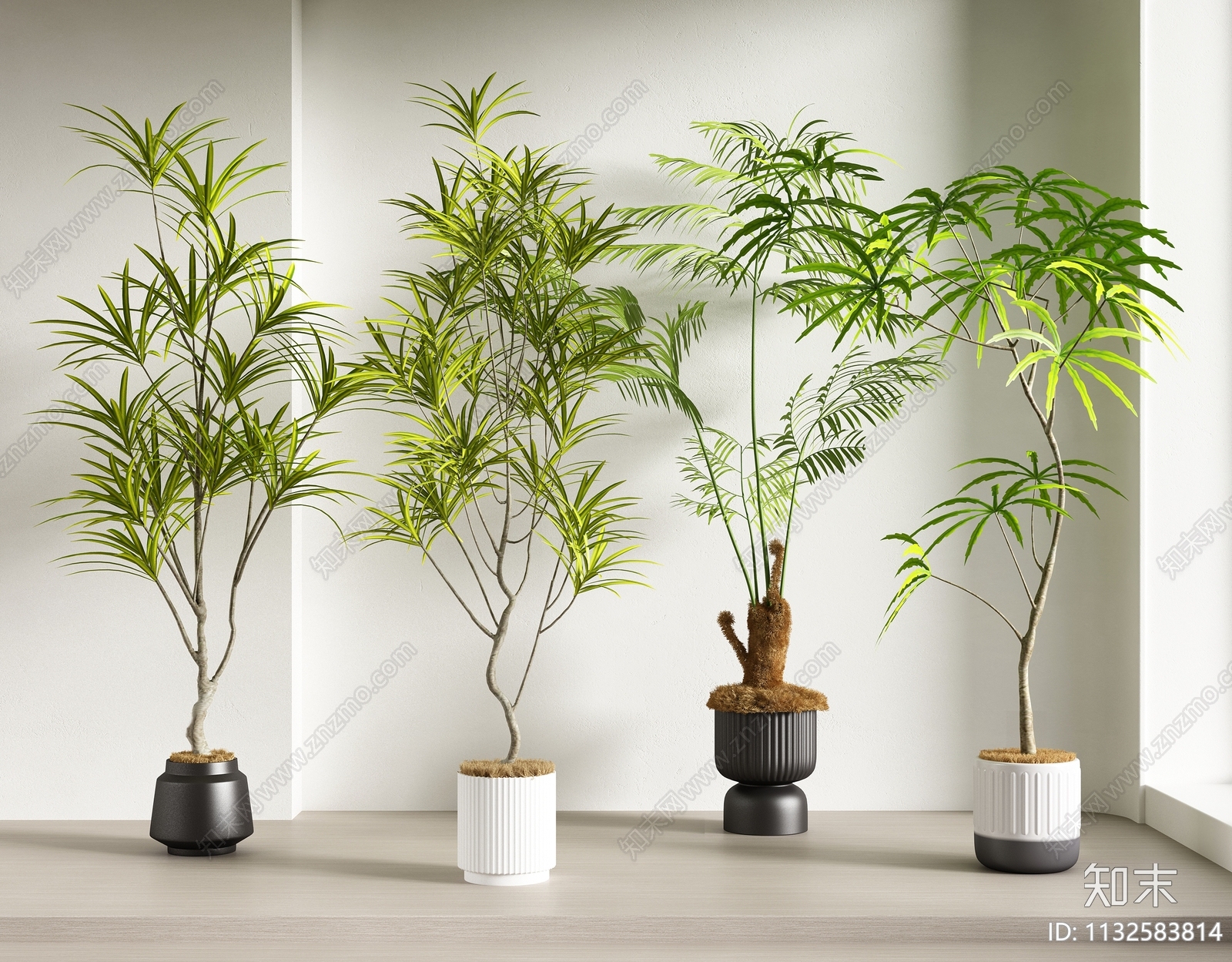 绿植盆栽3D模型下载【ID:1132583814】