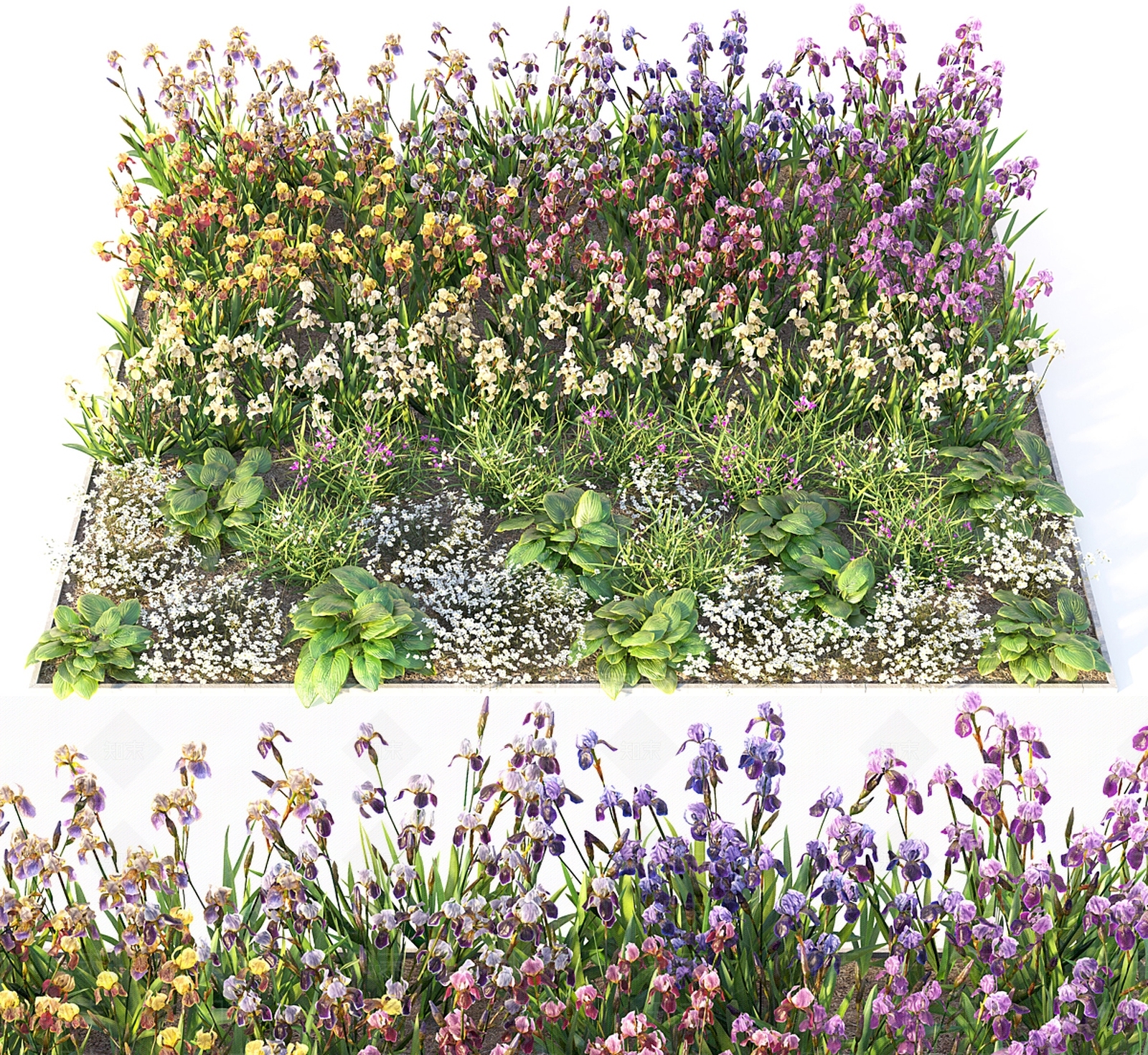 户外花草3D模型下载【ID:1132592060】