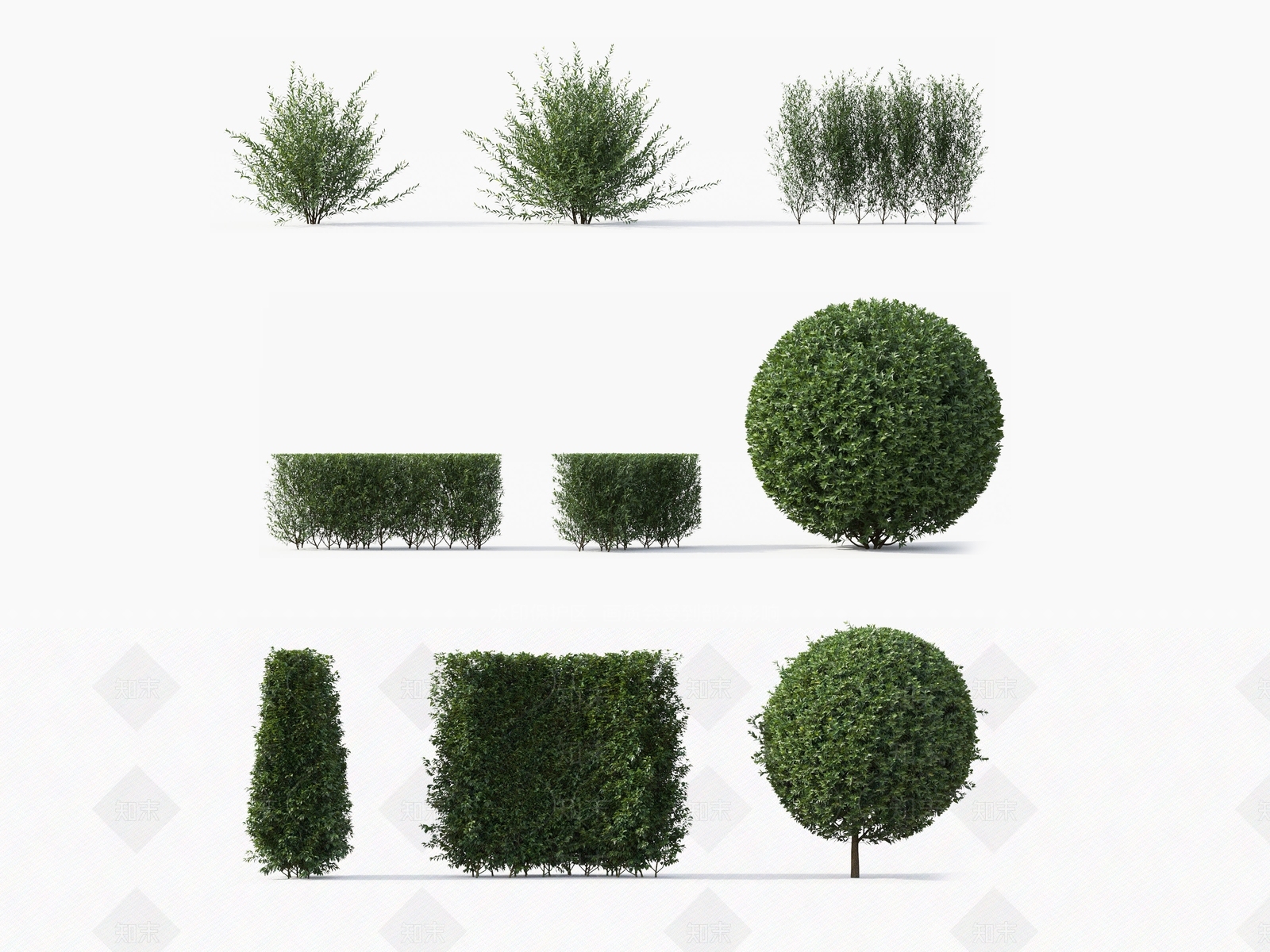 灌木3D模型下载【ID:1132951059】