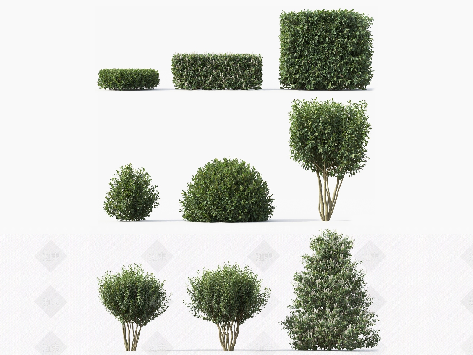 灌木3D模型下载【ID:1132731749】