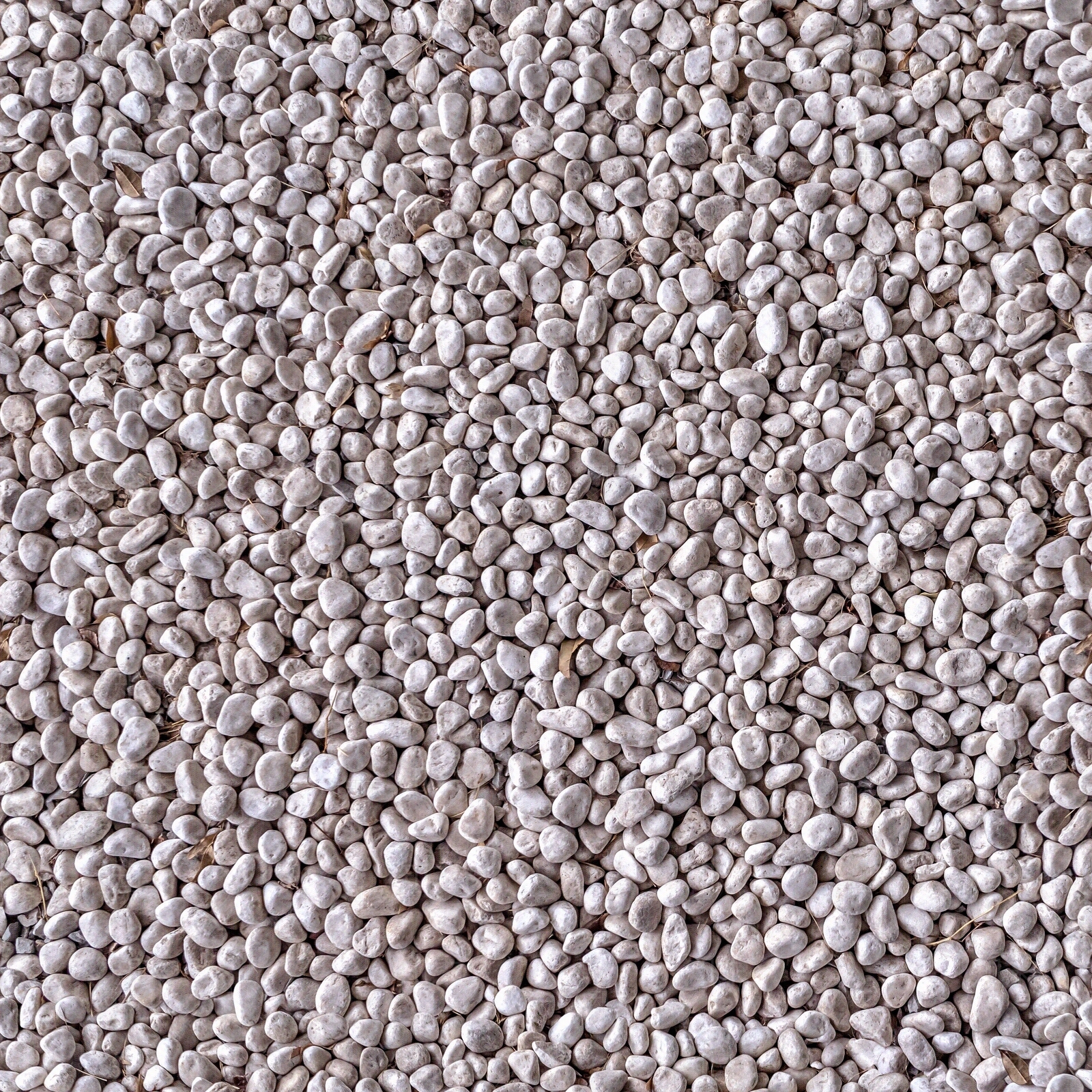 无缝暖紫色鹅卵石地面贴图贴图下载【ID:1132714091】