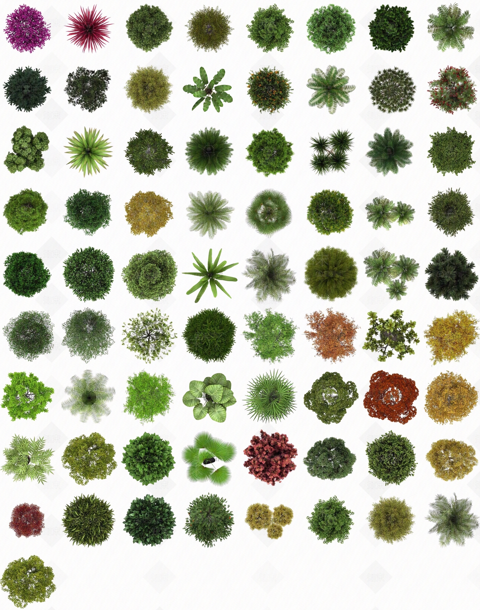 植物平面素材贴图下载【ID:1132799556】