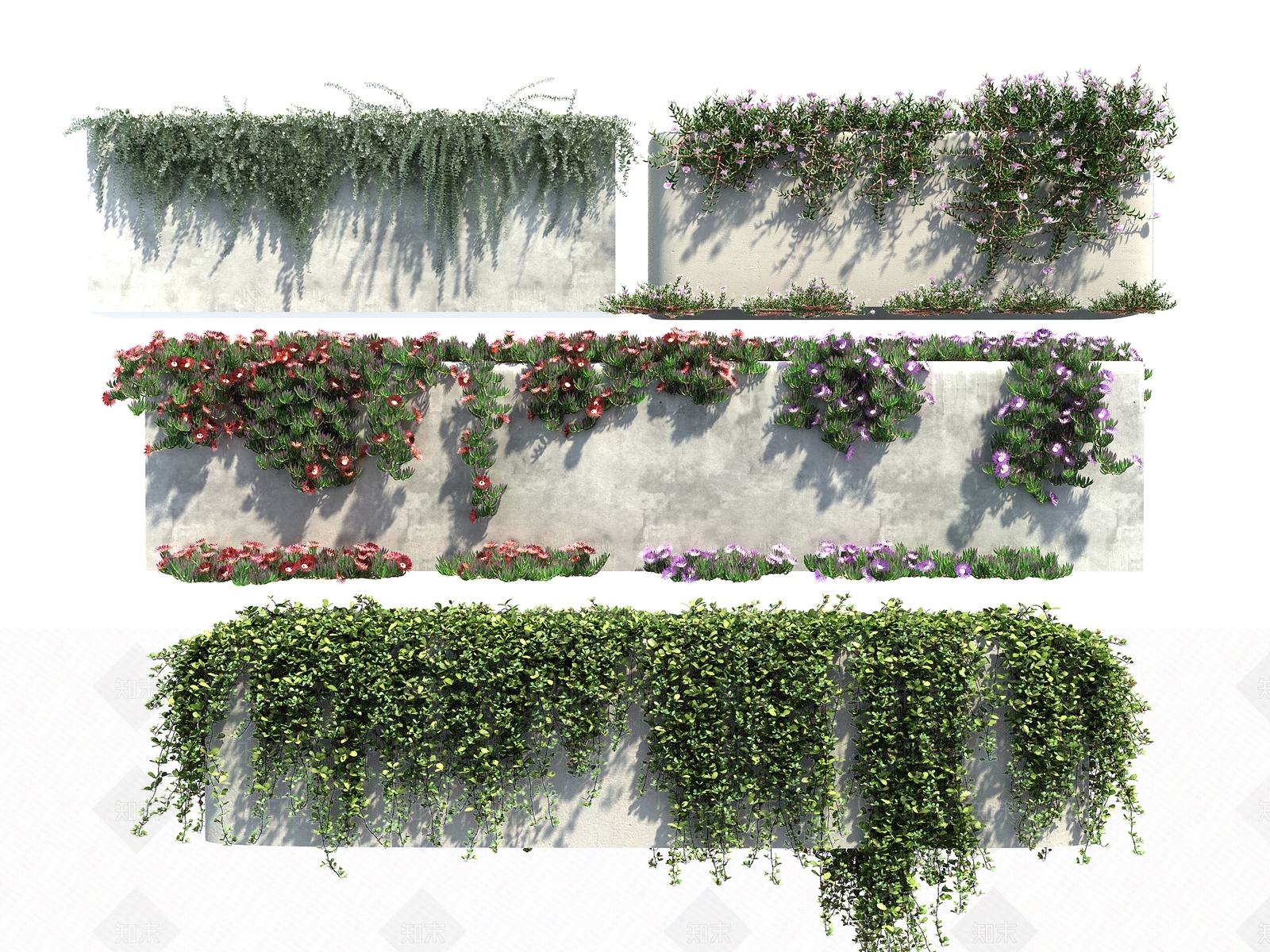 现代绿植藤曼3D模型下载【ID:1132803246】