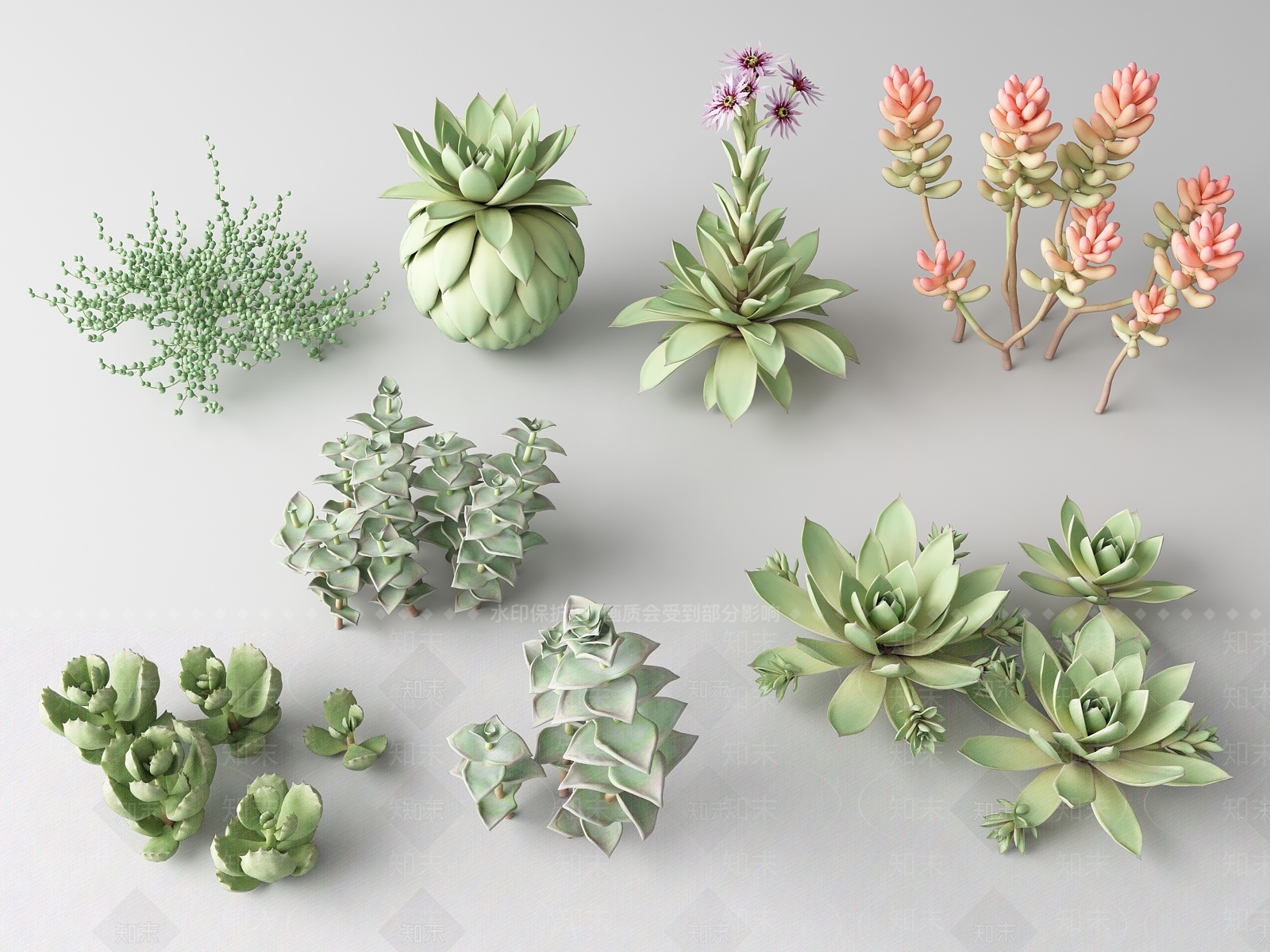 多肉植物SU模型下载【ID:1132901455】
