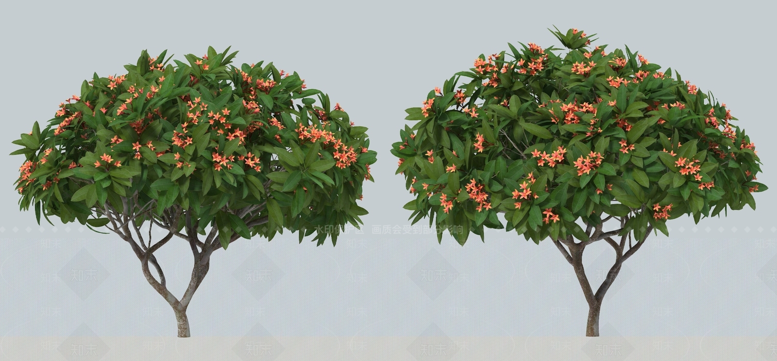 2D鸡蛋花SU模型下载【ID:1133178286】