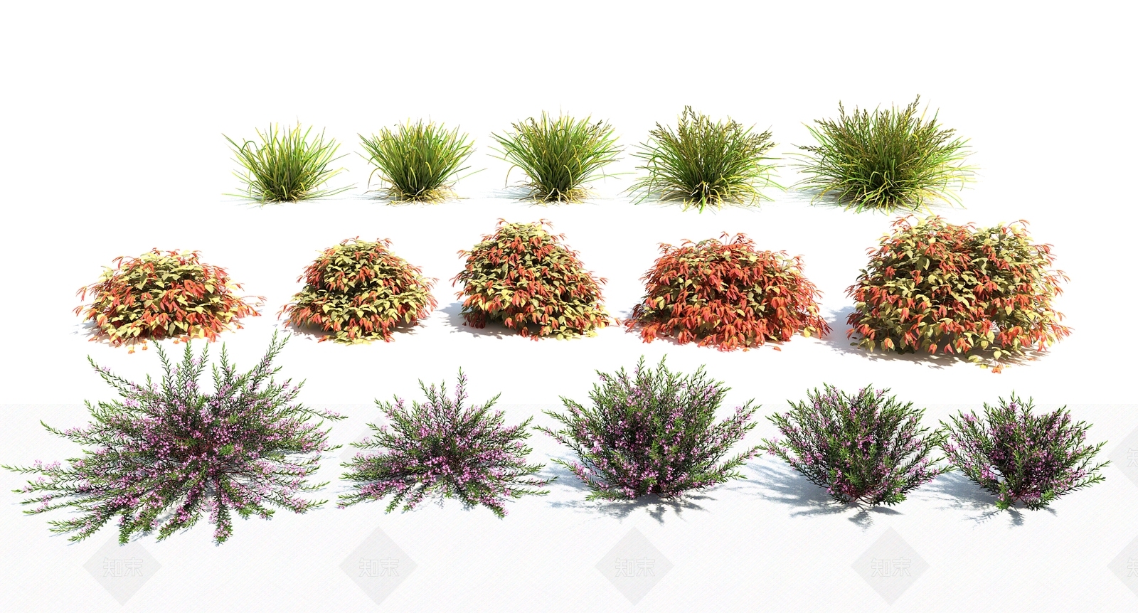 草3D模型下载【ID:1132982597】