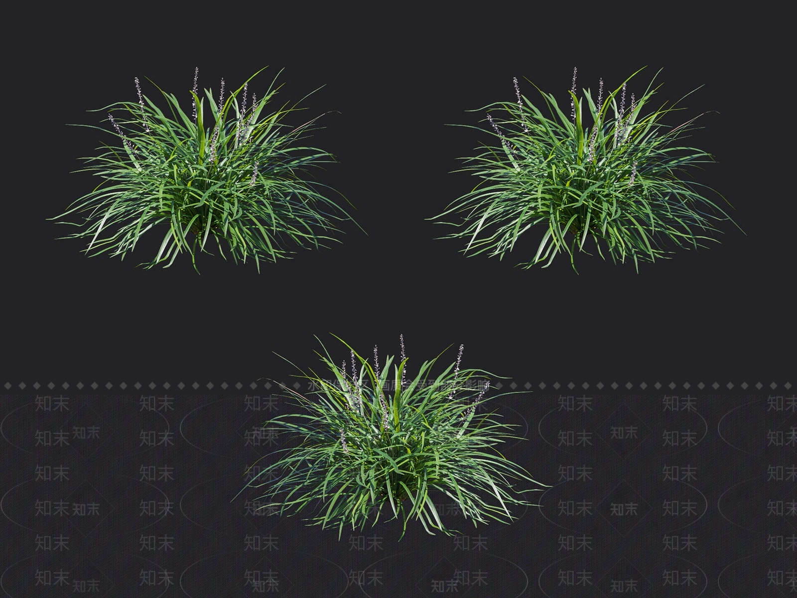 沿阶草3D模型下载【ID:1132990241】