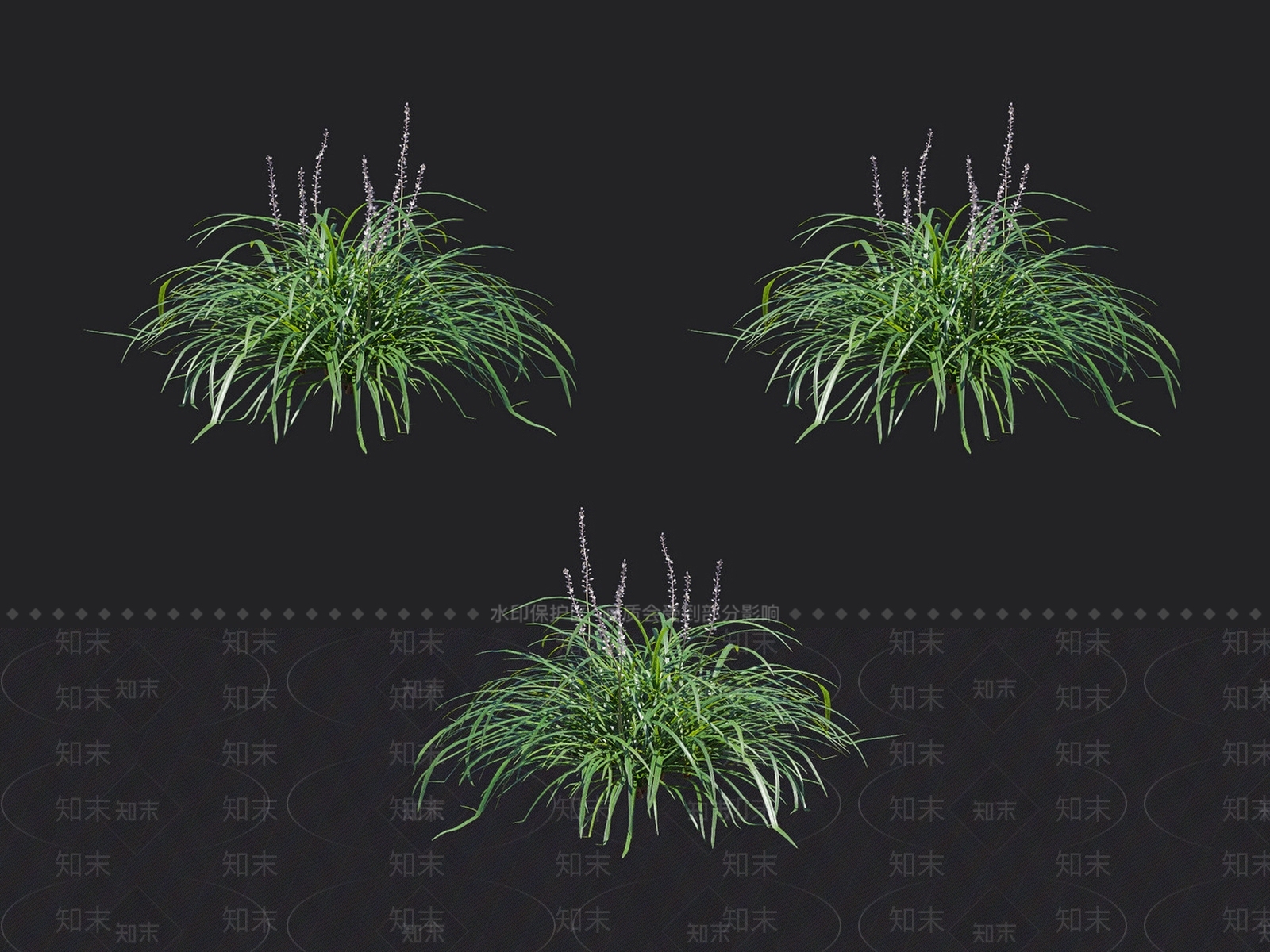 沿阶草3D模型下载【ID:1132990137】