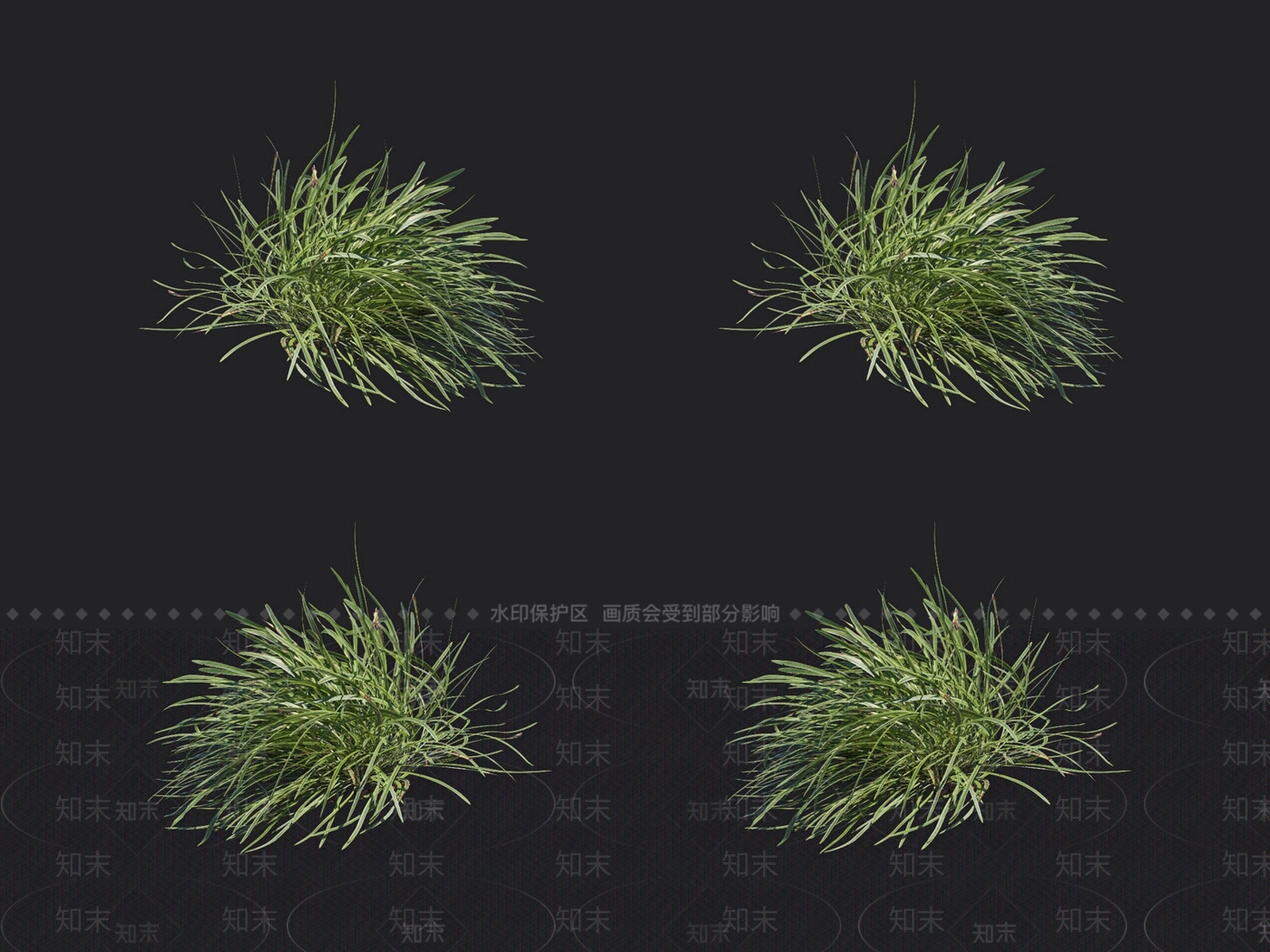 沿阶草3D模型下载【ID:1132990305】