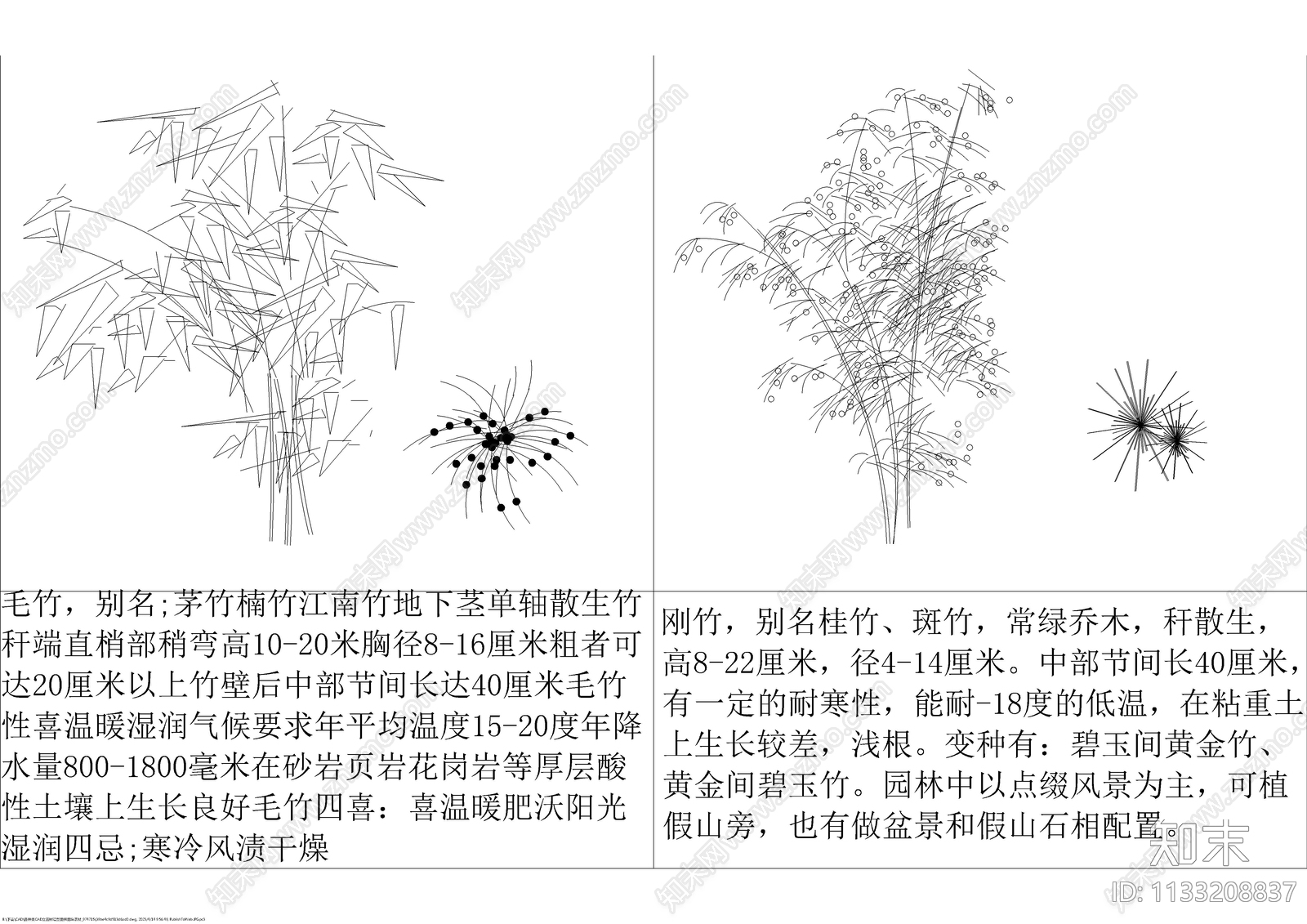 各种平立面树种图块cad施工图下载【ID:1133208837】