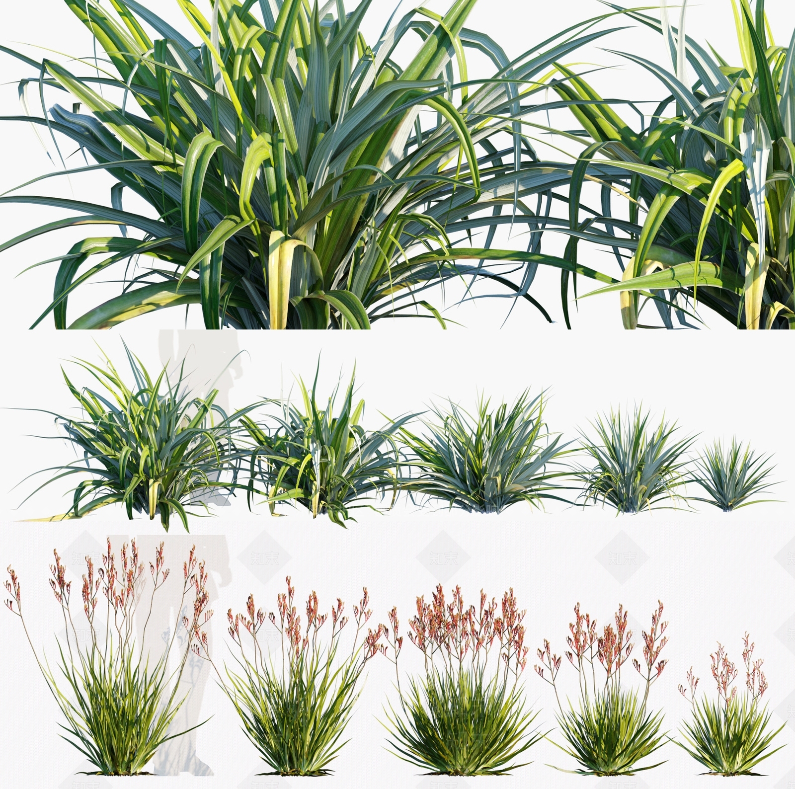 花草植物3D模型下载【ID:1133063934】