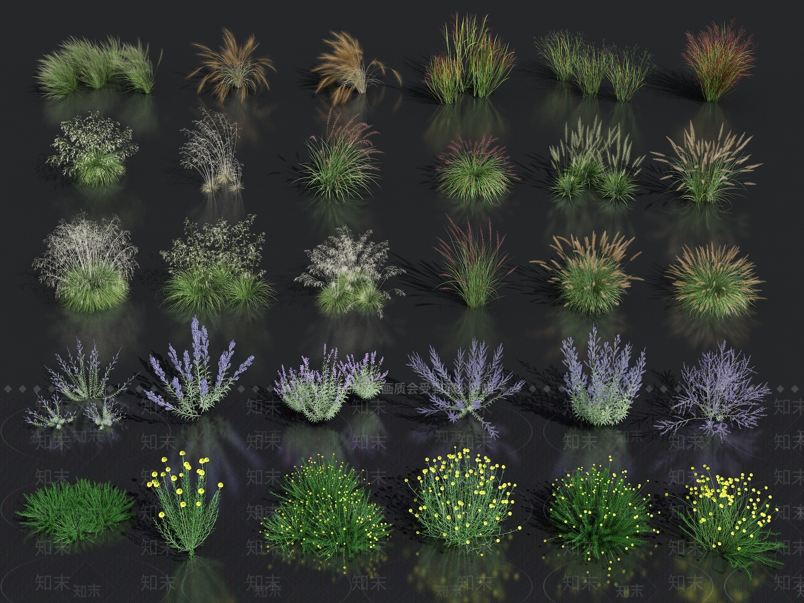 羽毛草3D模型下载【ID:1133152347】