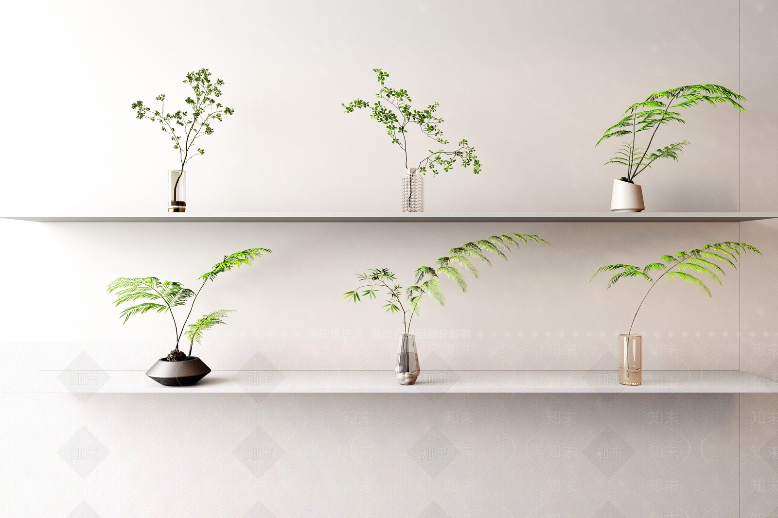 水生植物3D模型下载【ID:1133210229】