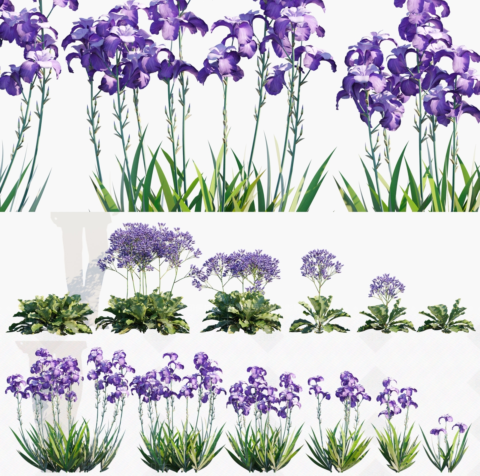花3D模型下载【ID:1133238286】