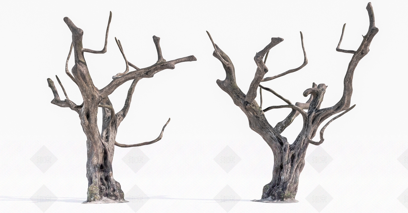 植物组合SU模型精品下载_SketchUp模型_知末网