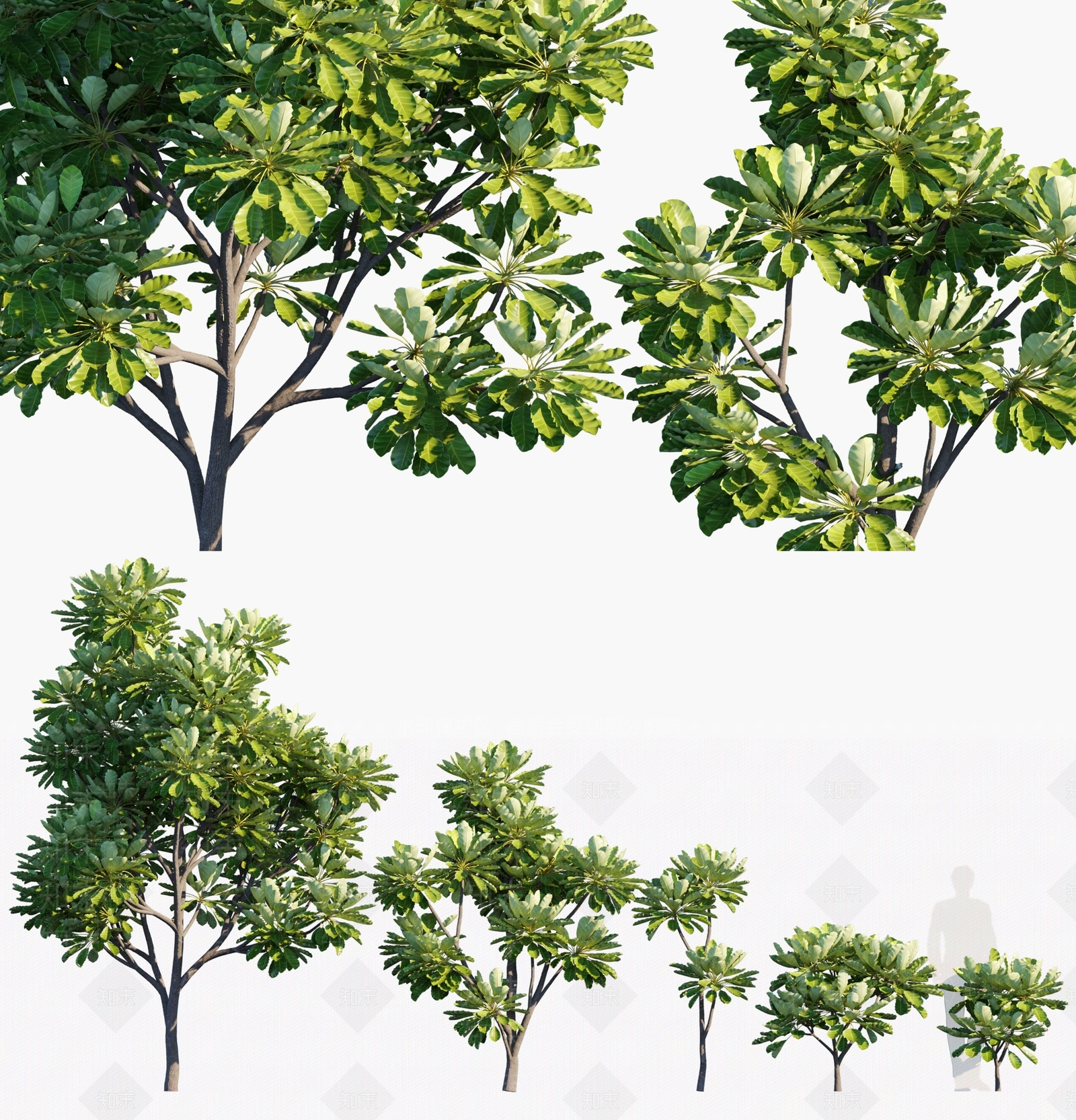 乔木3D模型下载【ID:1133310678】