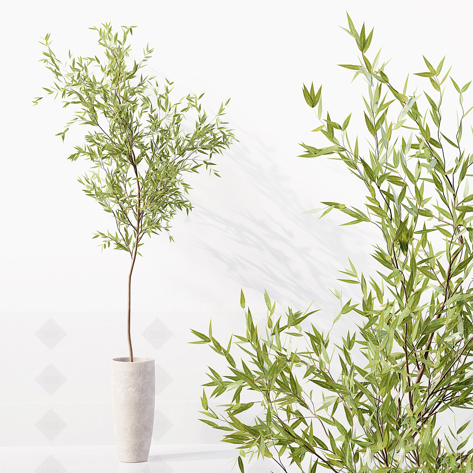 水生植物3D模型下载【ID:1133334527】
