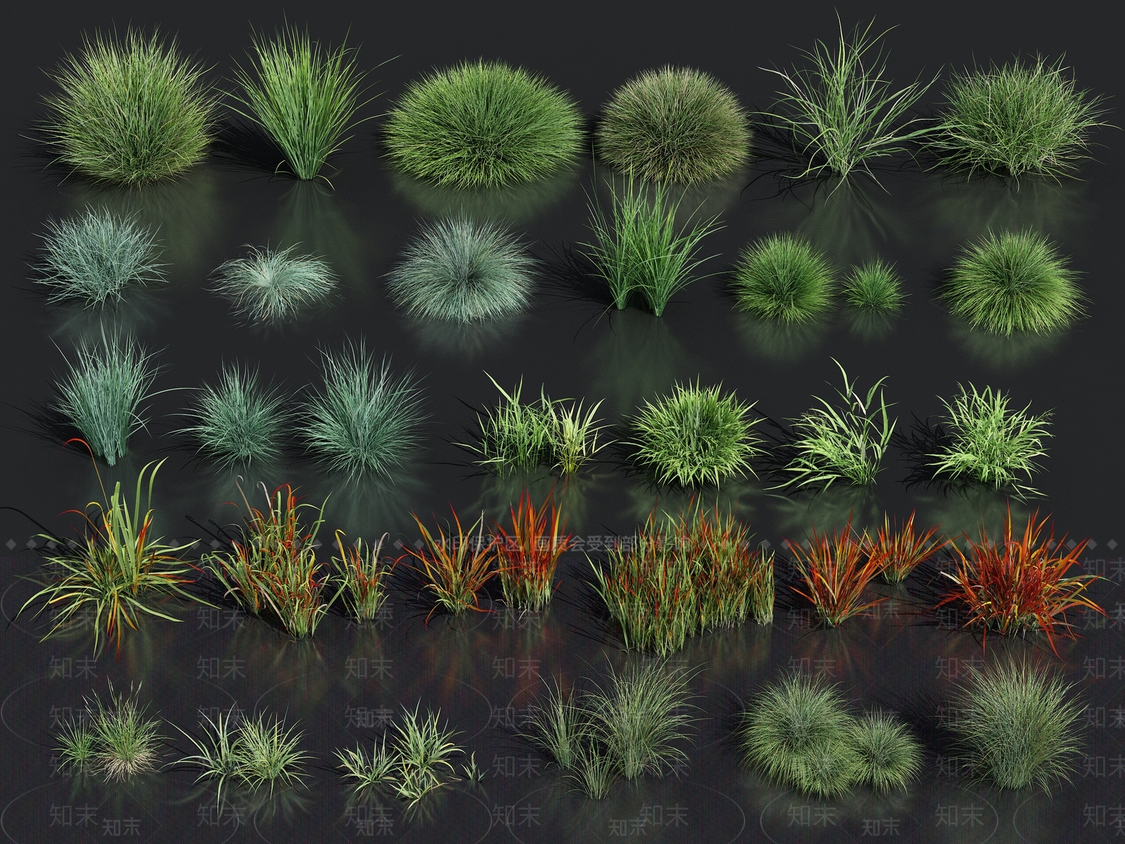 草3D模型下载【ID:1133404208】