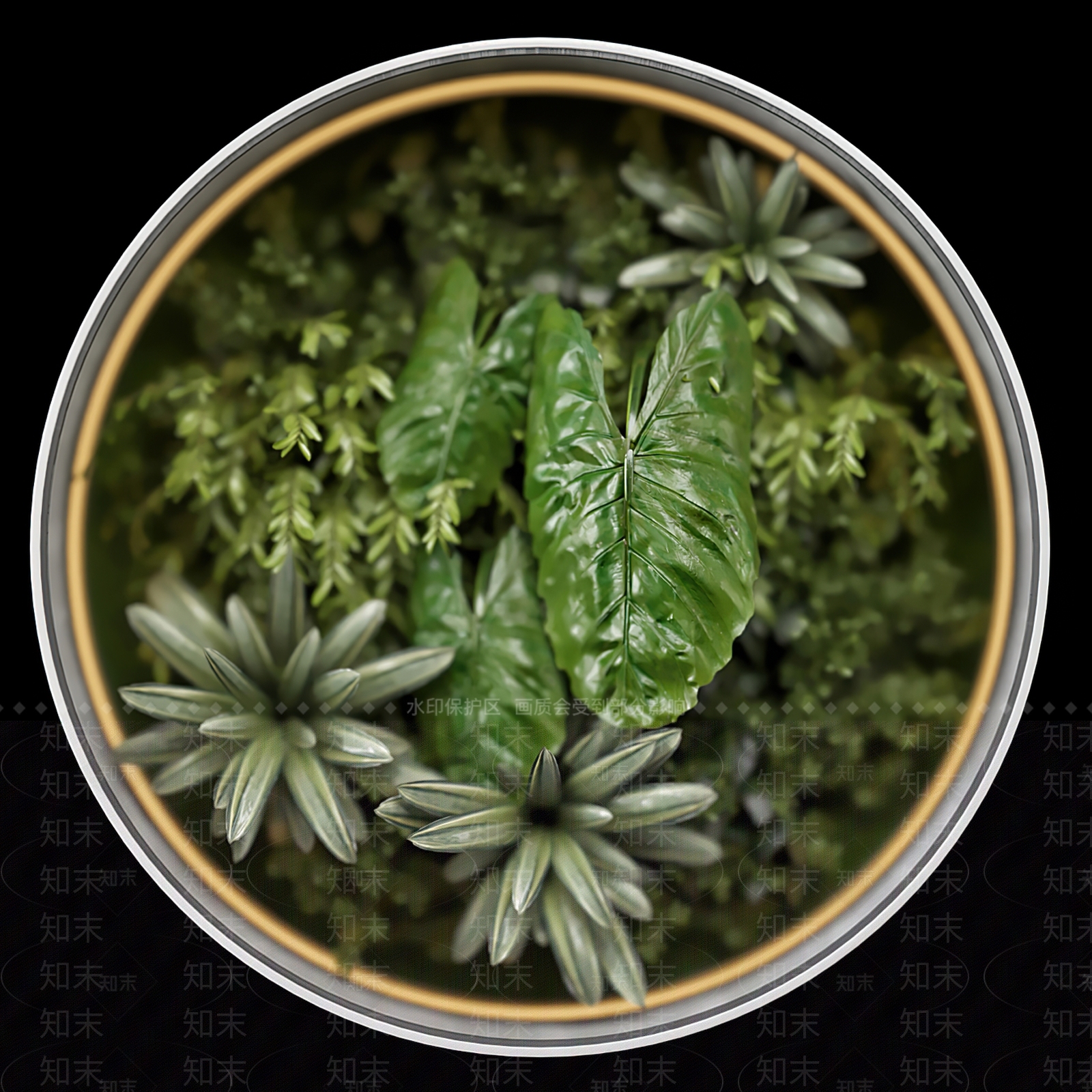 圆形植物墙3D模型下载【ID:1133520196】