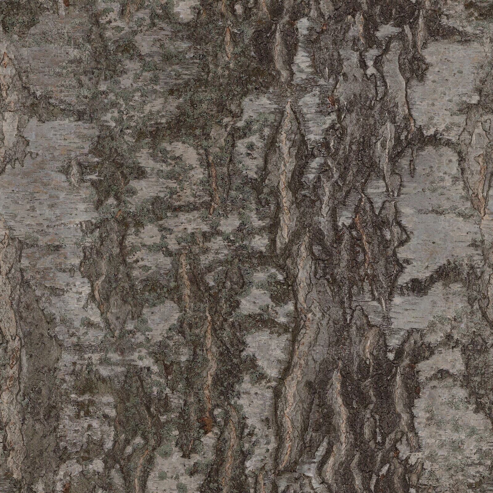 现代树皮木纹贴图下载【ID:1133564710】