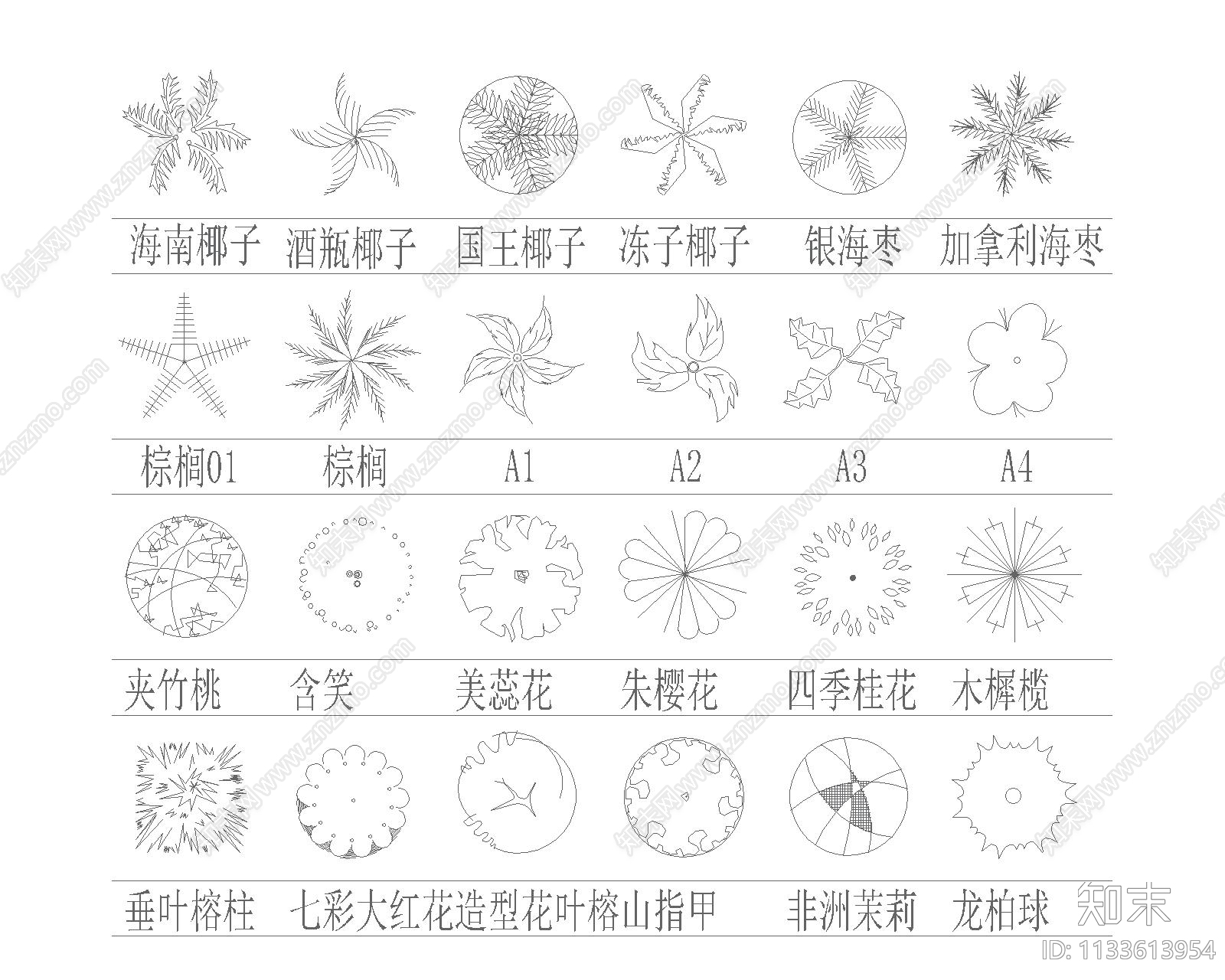 园林植物平面图施工图下载【ID:1133613954】