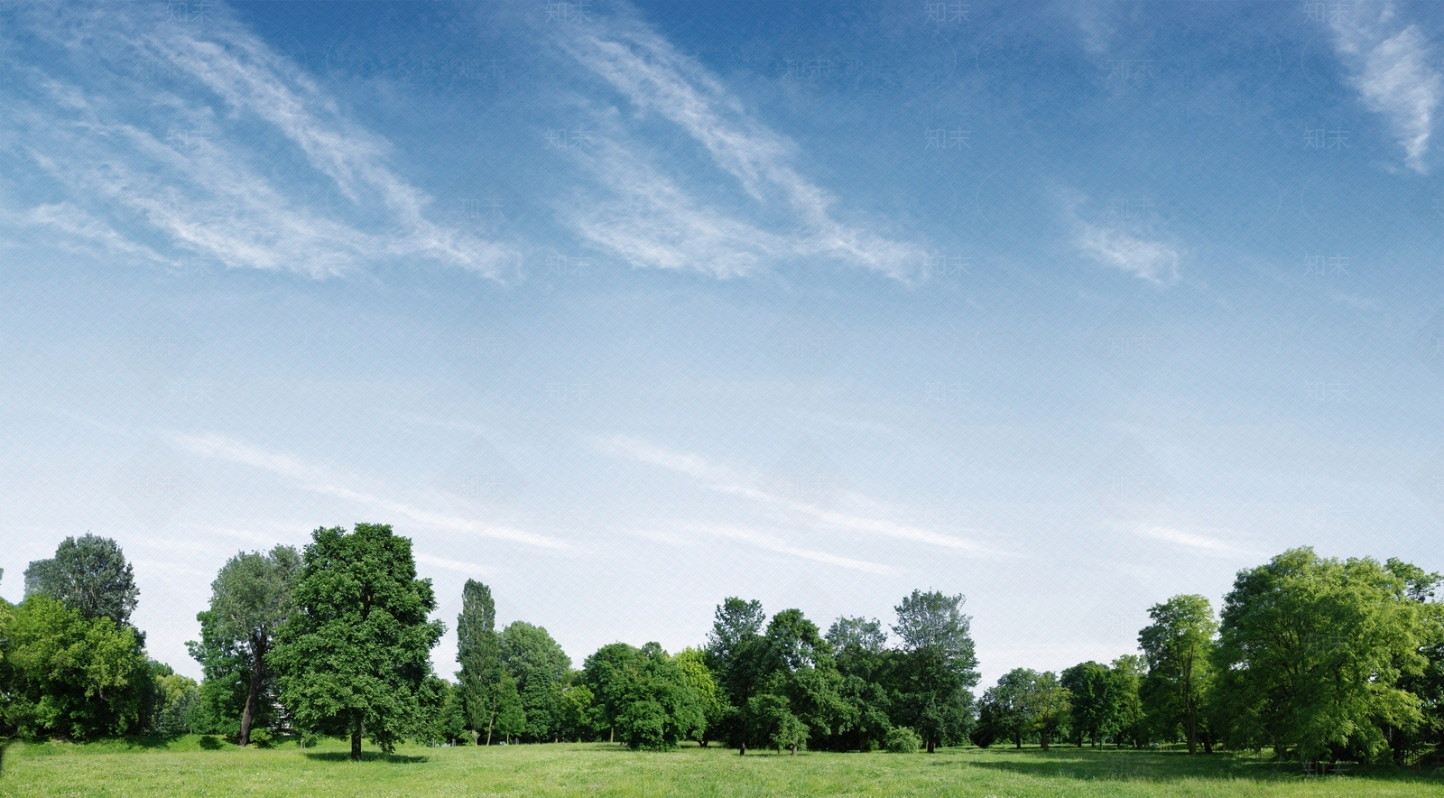 草地白天外景贴图下载【ID:1133641108】