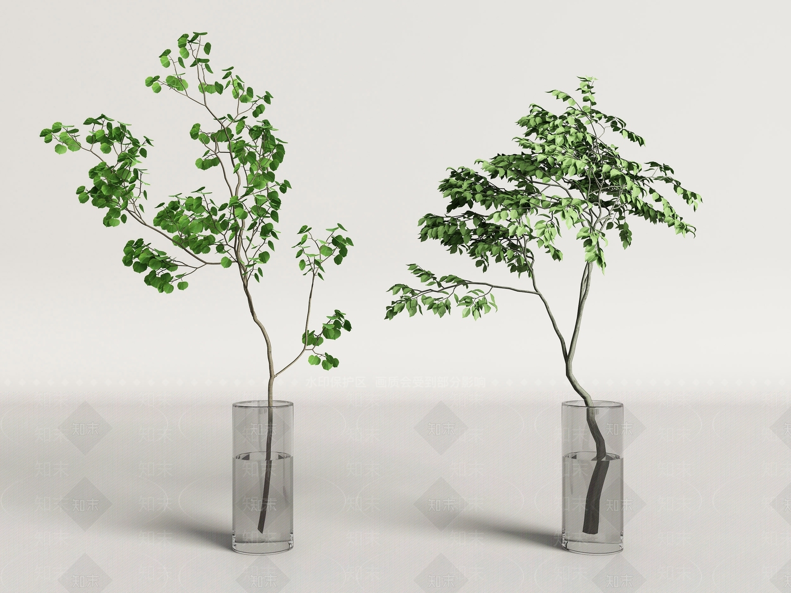 水生植物3D模型下载【ID:1133694826】