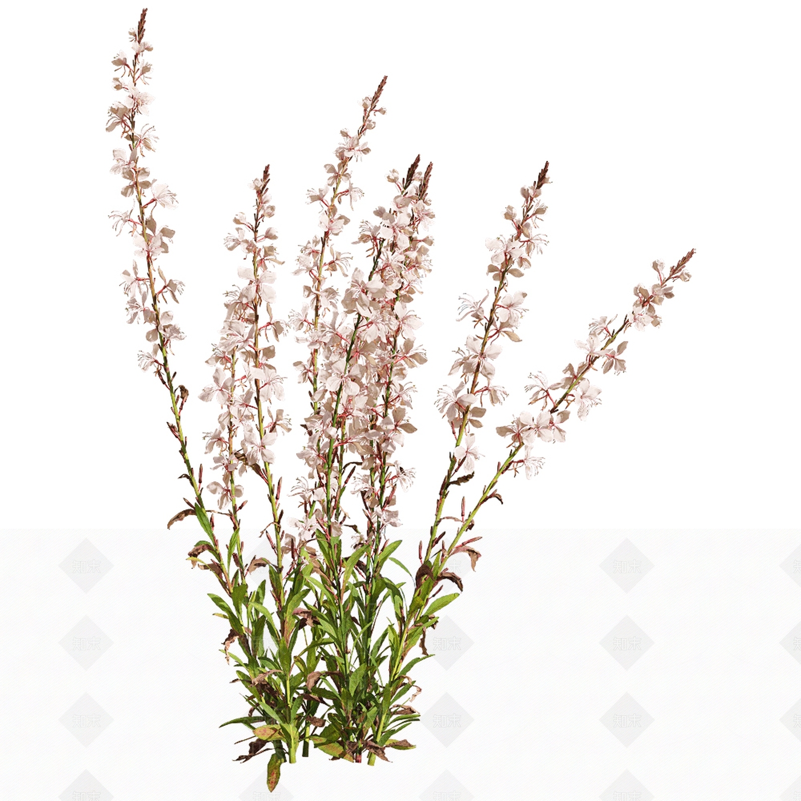 花草3D模型下载【ID:1133740925】