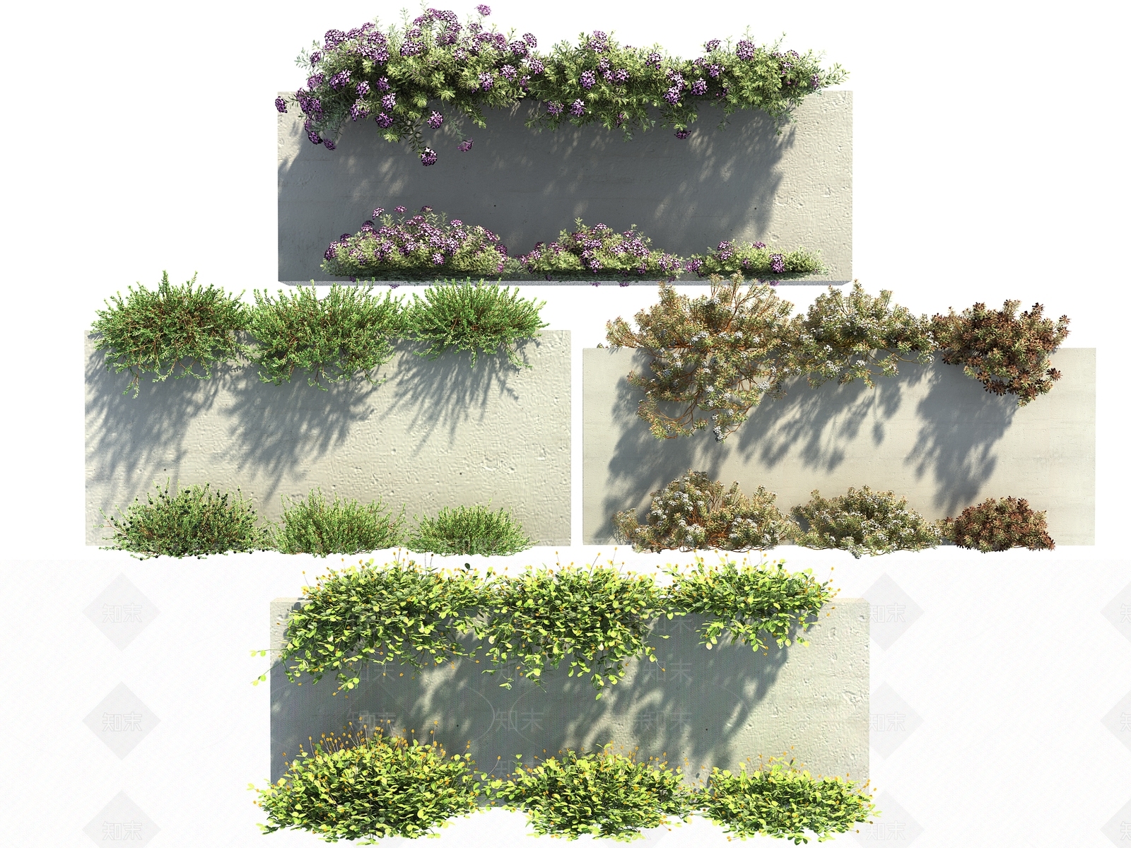 现代绿植藤蔓3D模型下载【ID:1133870083】