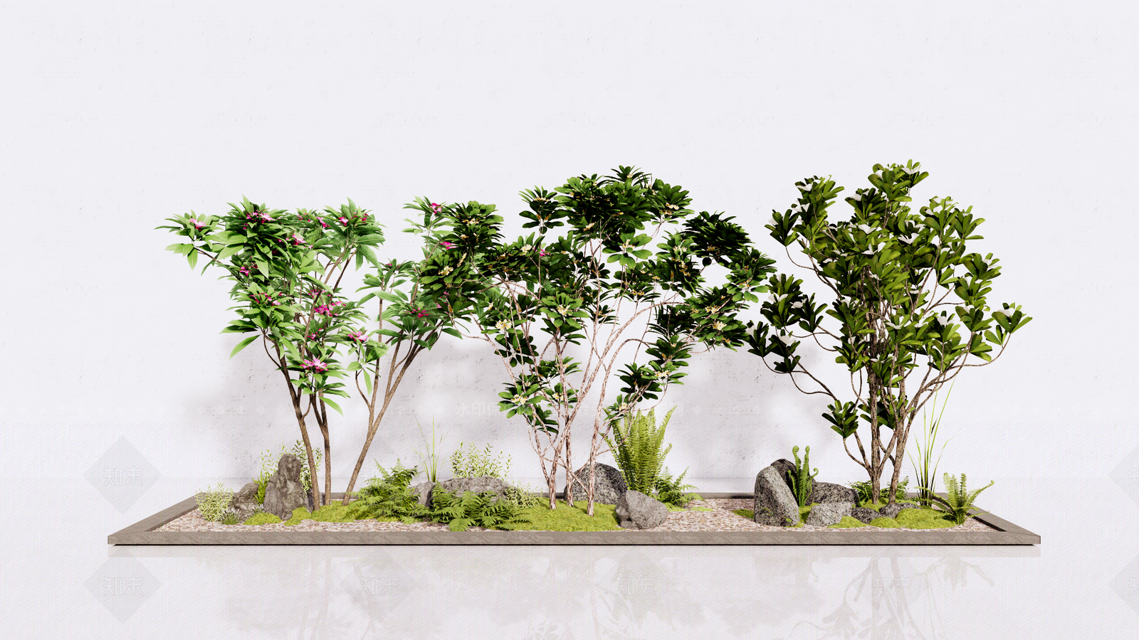 丛生鸡蛋花SU模型下载【ID:1133879560】