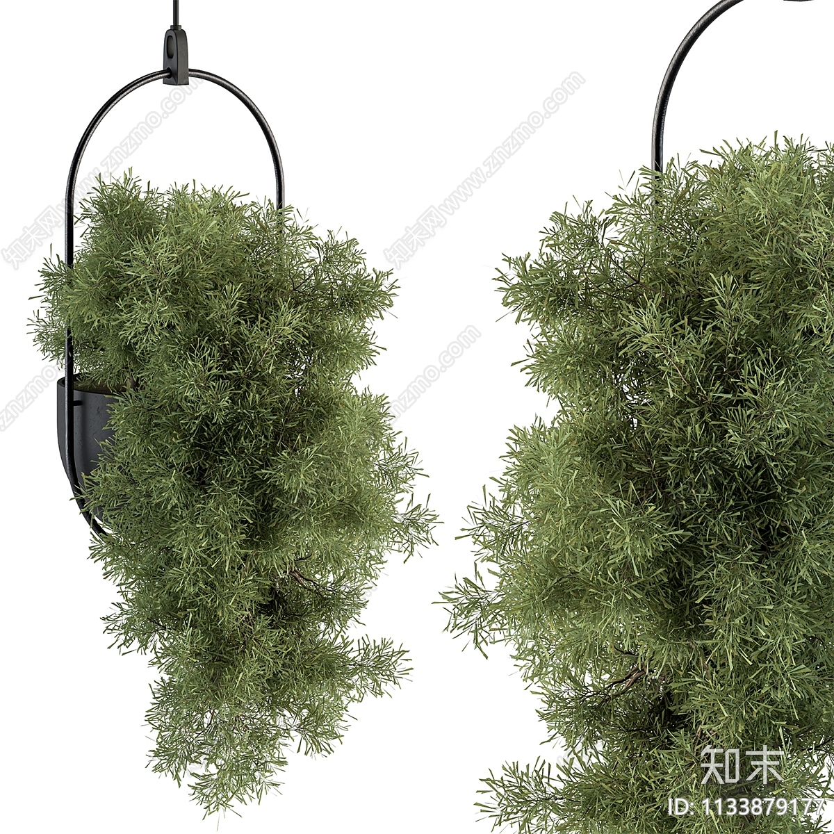 植物吊篮3D模型下载【ID:1133879177】