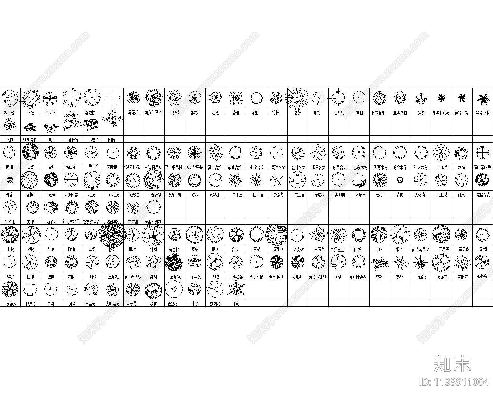 最全植物CAD图库cad施工图下载【ID:1133911004】