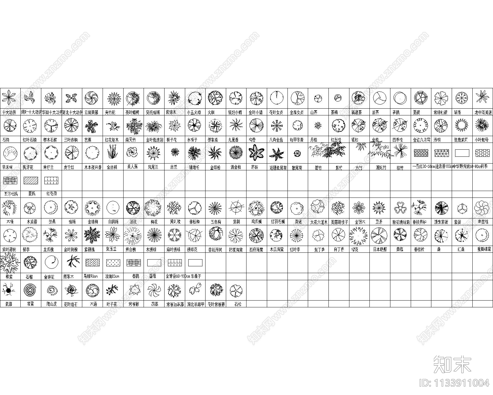 最全植物CAD图库cad施工图下载【ID:1133911004】