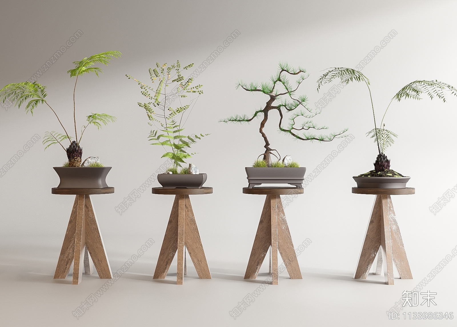 现代蕨类盆景3D模型下载【ID:1133986346】