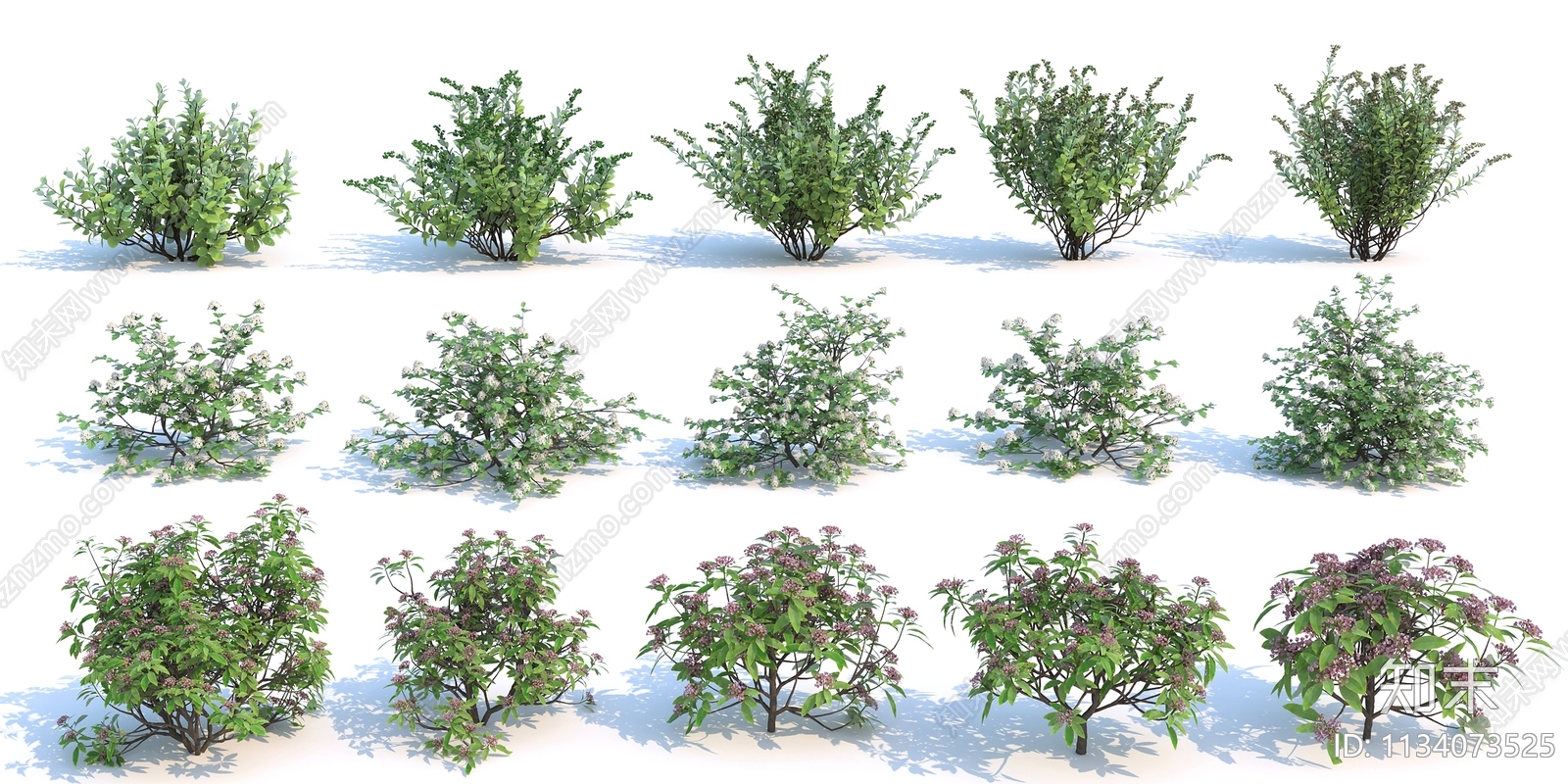 花草组合3D模型下载【ID:1134073525】