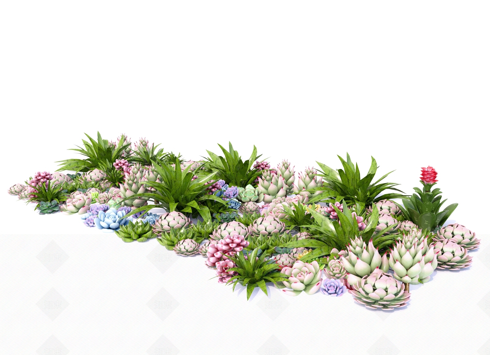 现代多肉植物组合SU模型下载【ID:1134079423】