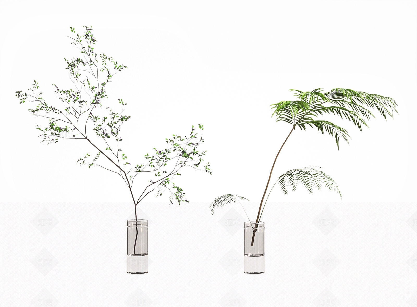 水生植物3D模型下载【ID:1134530270】
