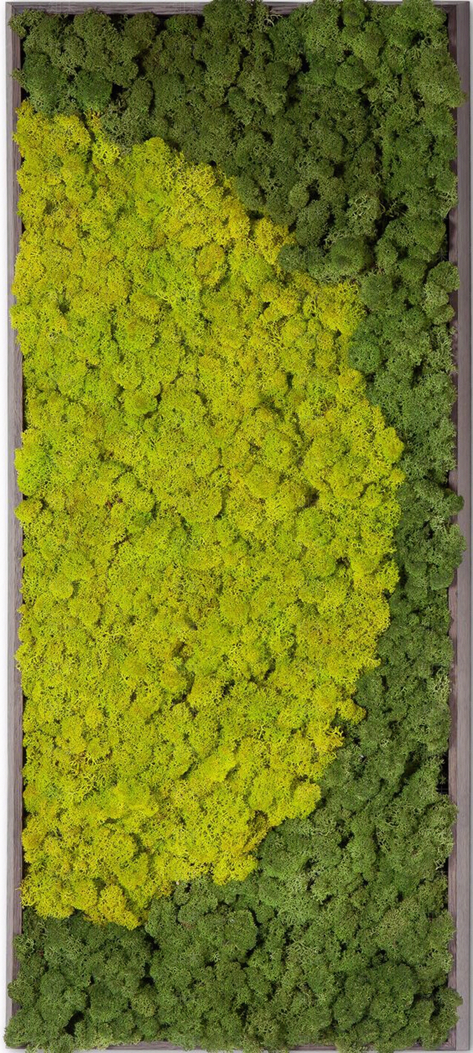绿植墙高清贴图材质