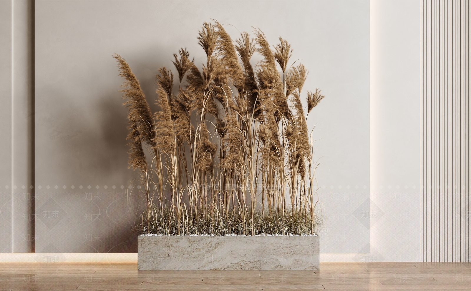 芦苇盆栽3D模型下载【ID:1134366282】