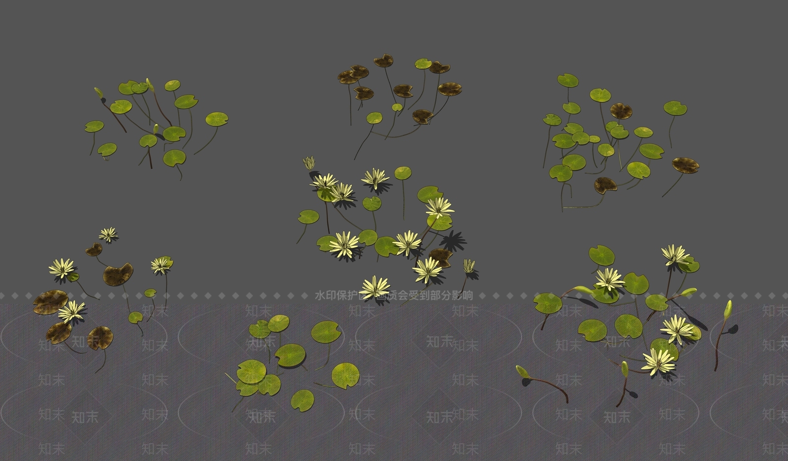 卡罗拉娜CAROLA睡莲花荷叶水生植物SU模型下载【ID:1134401098】