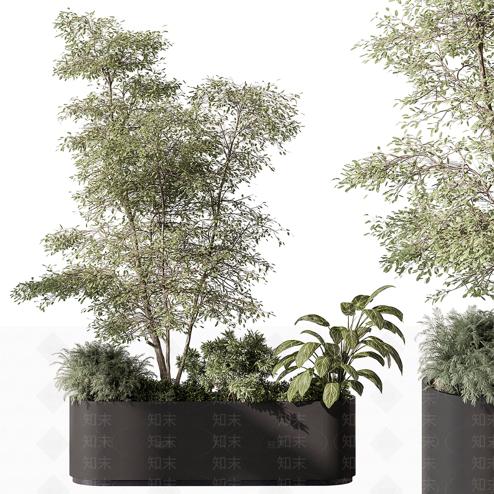 现代花箱3D模型下载【ID:1134457049】